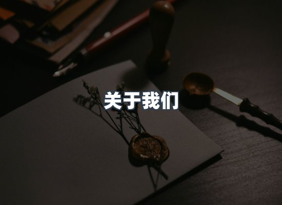 专业团队